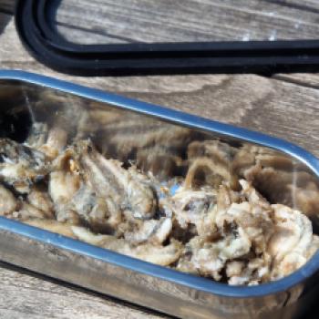 11. Eine Schicht frittierte Sardinen in eine Schüssel geben - (c) Jörg Bornmann