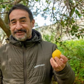 „Bergamotte bringt den Eigengeschmack von Fleisch und Fisch viel besser zur Geltung“, so Francesco Gangemi bei - (c) Maren Recken