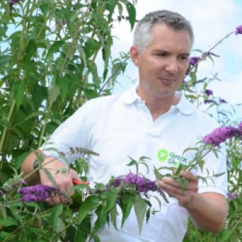 Der Lavendelsirup beruhigt, Minze-Sirup erfrischt, Malvensirup regt an, Wildkräutersirup belebt, Akaziensirup entspannt und Melisse-Sirup stärkt. - (c) Gabriele Moser
