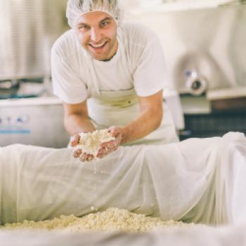 Hauptthema ist der Ziegenkäse. Er wird mit Dirndl, Wachauer Marille, Paprika und Chilli verfeinert. - (c) David Faber