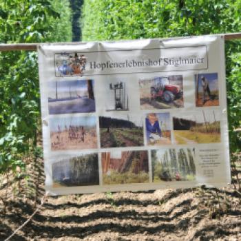 In der „Bayerischen Toskana“, der Hallertau liegt der Hopfenhof der Familie Stiglmaier. Elisabeth ist Hopfenbäuerin, sie hat sich als Hopfenbotschafterin ausbilden lassen