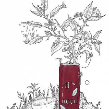 Black Tea x Libre - (c) all i need