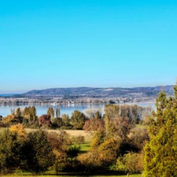 Die Halbinsel Höri im westlichen Bodensee ist ein wahres Schlaraffenland - (c) REGIO Westlicher Bodensee