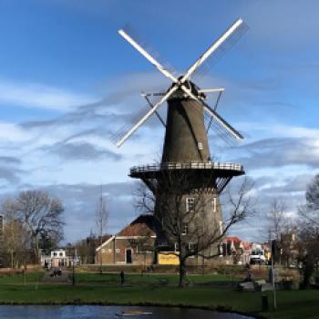 Leiden in Holland hat Windmühlen, Grachten, Zugbrücken, Fahrräder und Tulpen - (c) Gabi Dräger