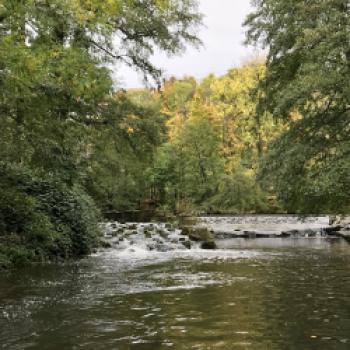 Schwäbischr gohd’s ned - Vaihingen an der Enz, Horrheim und Lembergerland  Stocherkahn, Stäffele, Trollinger, Maultaschen und Herrgottsbescheißerle – ja das ist schwäbisch - (c) Gabi Dräger