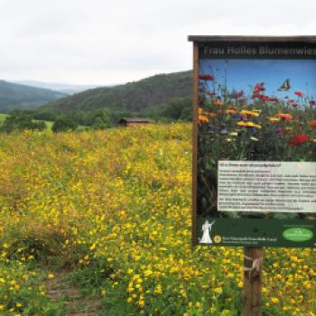 Wir sind zu Gast bei Metzgermeister Matthias Pflüger im nordhessischen Großalmerode-Weißenbach im Geo-Naturpark Frau Holle Land - (c) Jörg Bornmann