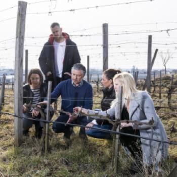 Beim Winzer in die Schule gehen!  -  Kamptal Akademie Modul 1 - (c) Robert Herbst