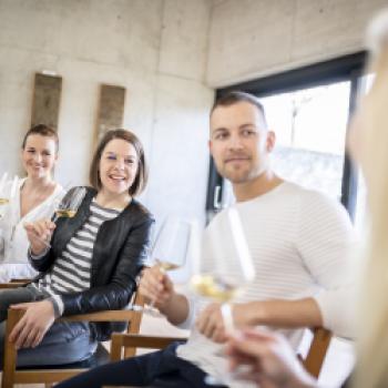 Beim Winzer in die Schule gehen!  -  Kamptal Akademie Modul 1 - (c) Robert Herbst