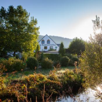 Das Weinhotel Klostermühle in Ockfen/Saar - ein besonderes Hotel für Weinliebhaber - (c) Hotel Restaurant Kaisermühle