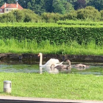 Ein weinreicher Nachmittag mit den Siegern der Landesweinprämierung Niederösterreich 2021 in der Orangerie des Schlosses Nymphenburg, ein stilvoller Rahmen mit romantischen Ausblicken für die Besten der Besten - (c) Marianne Riermeier