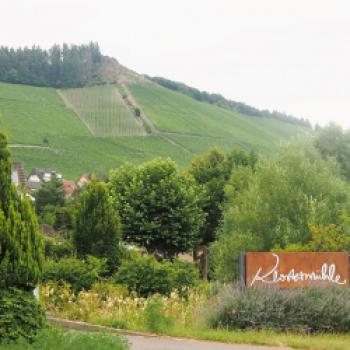 Das Weinhotel Klostermühle in Ockfen/Saar - ein besonderes Hotel für Weinliebhaber - (c) Hotel Restaurant Kaisermühle