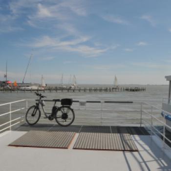 Neusiedler See, Operette, Buschenschenken und die Landeshauptstadt Eisenstadt