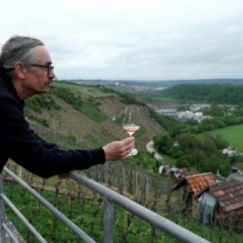 Mythos 401 – ‚Do it yourself Weinbergtour‘ - Auf Spurensuche im Lembergerland - (c) Maren Recken