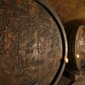 Der Weinanbau steht im Nikolaihof an erster Stelle, es werden Rebsorten wie Riesling, Grüner Veltliner und Neuburger angebaut. - (c) Nikolaihof