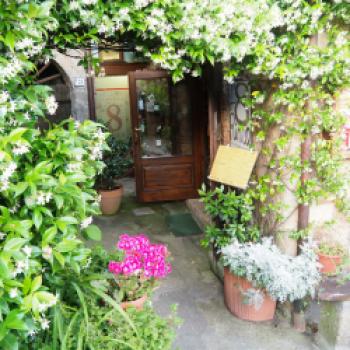 En Osteria L'Ottava Rima in Sorano - Der Besuch, ein Muss für alle die gerne authentische Speisen genießen - (c) Jörg Bornmann