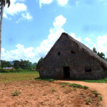 In der Tabakfinca Benito zeigt Benito sein Tabaktrockenhaus. Nach dem Ernten der Tabakblätter werden sie auf Garn aufgefädelt und kommen zum Trocknen und Fermentieren in ein fensterloses Tabaktrockenhaus - (c) Gabi Dräger