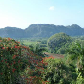 Nach dem Schmelztiegel Havanna kann man bei einer Kubarundreise eine überschäumende Natur und eine unvergleichliche Ruhe entdecken - (c) Gabi Dräger