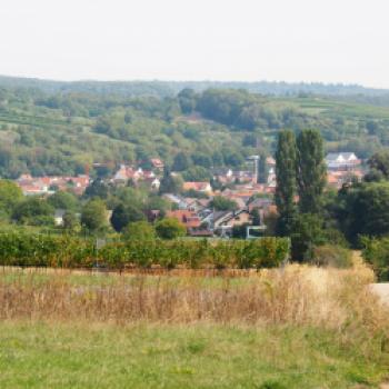 Mit dem Rad durch den Kriachgau zum Weingut Heitlinger - (c) Jörg Bornmann