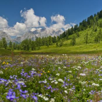 Friaul-Julisch Venetien - Unverfälschte Aromen und Düfte - (c) PromoTurismoFVG