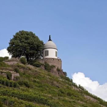 Eine Schlössertour mit Weingenuss durch das sächsische Dresden Elbland - (c) Gabi Dräger