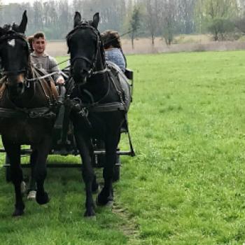 Der Name des Reiterhofs ist wirklich schwierig: Zalaszentmihálypusztai Zur Gastfreundschaft auf dem Reiterhof von Dr. Nady Judit gehört ein Begrüßungstrunk, ein Marillenbrand - (c) Gabi Dräger