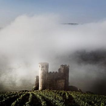 Viele romantische Landschaften empfangen die Besucher des Rheingaus - (c) Deutsches Weininstitut