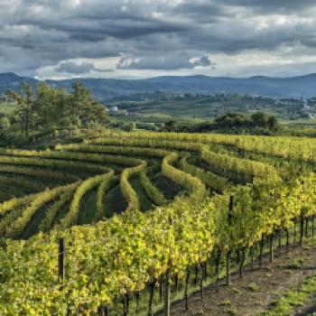 Friaul-Julisch Venetien - Unverfälschte Aromen und Düfte - (c) PromoTurismoFVG
