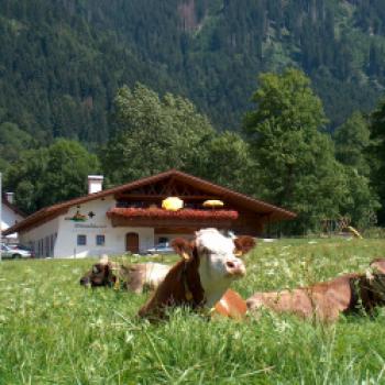 Der Pflege der Kulturlandschaft der Ammergauer Alpen fühlt man sich im Kloster Ettal durch die lange landwirtschaftliche Tradition besonders verpflichtet. - (c) Ammergauer Alpen GmbH Hans-Peter Schöne