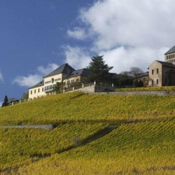 Schloss Johannisberg im Rheingau - (c) Deutsches Weininstitut