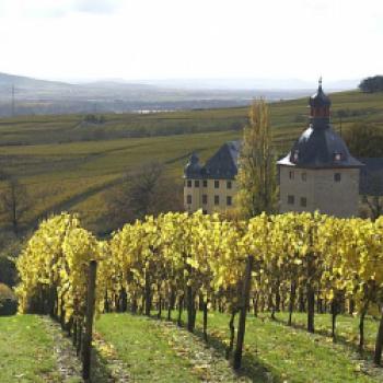 Schloss Vollrads im Rheingau - (c) Deutsches Weininstitut