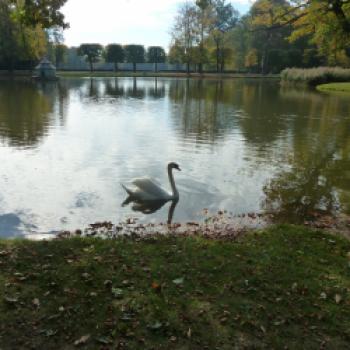 Eine Schlössertour mit Weingenuss durch das sächsische Dresden Elbland - (c) Gabi Dräger