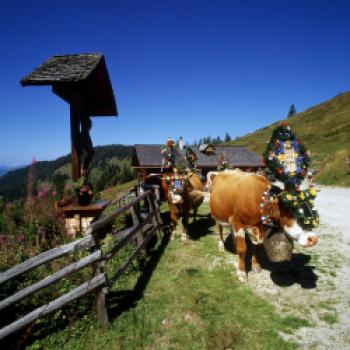 Kulinarischer Genuss der kurzen Wege, der Bauernherbst im Großarltal - (c) Tourismusverband Großarltal