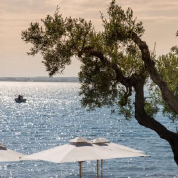  Nicht weit zum Strand ist es vom 'Ikos Resorts Olivia', Griechenland, Wein, Griechischer Wein - © Ikos Resorts