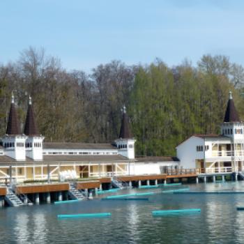 Der Thermalsee in Bad Hévíz ist einzigartig und der größte in der Welt - (c) Gabi Dräger