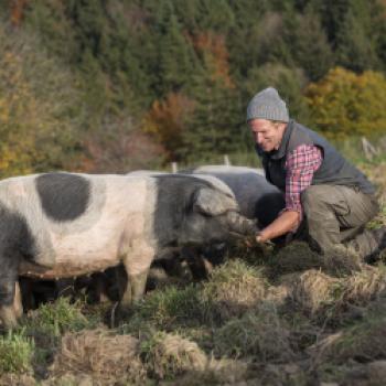 Die bayerischen Bio-Erlebnistage in Ihrer Nähe - (c) Touristinfo Waging