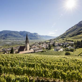 Südtirol Wein - Steckbrief und Übersicht - Südtirol Wein, Florian Andergassen