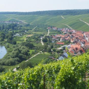 Mainschleife - Ein wunderbaren Blick hat man von der Vogelsburg auf den Weinort Escherndorf - (c) Jörg Bornmann