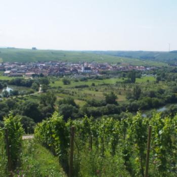 Mainschleife - Ebenso sieht man auf der gegenüberliegenden Mainseite den Weinort Nordheim - (c) Jörg Bornmann