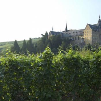 Während die Rotweine der Ahr auch international einen hervorragenden Ruf genießen, spielen die Weißweine überregional oder gar international nahezu keine Rolle - (c) Deutsches Weininstitut