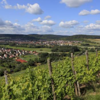 Taubertal kulinarisch erleben - Genussregion an Tauber und Main - (c) Liebliches Taubertal