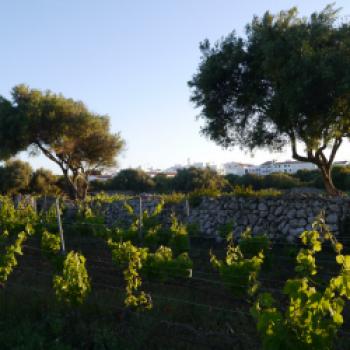 Menorca - Genussinsel für Augen und Gaumen - Zimmer im Alcaufar - (c) Susanne Wess