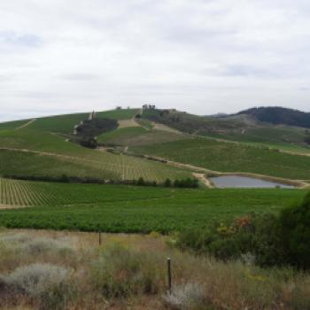 Weingut Delheim - (c) Eva-Maria Mayring