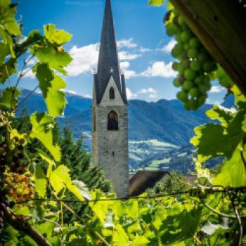 Mit Wein dem Himmel so nah - Helmut Moling Tourismusverein Klausen