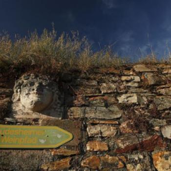 Weinwanderwege bei Rüdesheim - (c) Deutsches Weininstitut