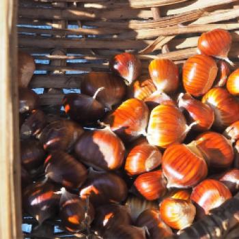 Das 49ste ‚Festa della Castagne‘, hier kann man in San Zeno di Montagna alles über die Früchte der Esskastanienbäume erfahren - (c) Jörg Bornmann