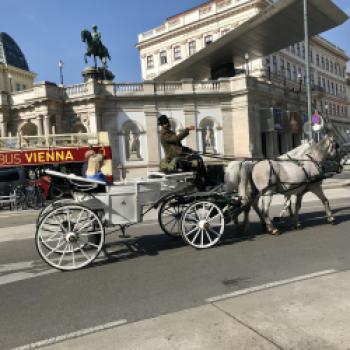 Im Wiener Schnitzel-Dreieck - Mit Oper, Kunst, Beisln und Schnitzel ist die Welt in Ordnung - (c) Gabi Dräger