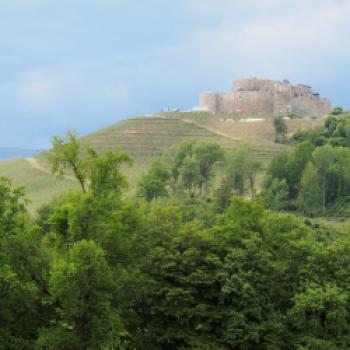 Taggenbrunn – das Weingut zwischen Alpen und Adria - (c) Jörg Bornmann