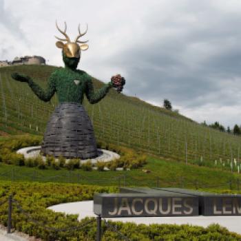 Taggenbrunn – das Weingut zwischen Alpen und Adria - (c) Jörg Bornmann