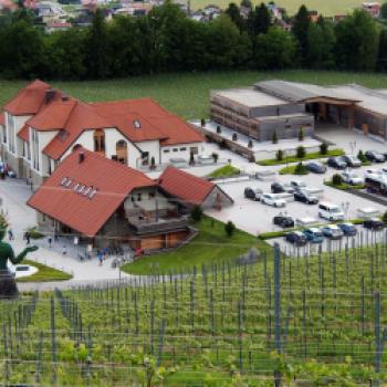 Taggenbrunn – das Weingut zwischen Alpen und Adria - (c) Jörg Bornmann