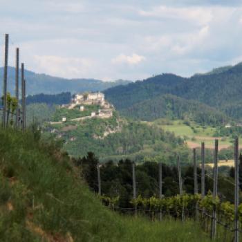 Taggenbrunn – das Weingut zwischen Alpen und Adria - (c) Jörg Bornmann